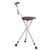 baston asiento plegable reguable en altura